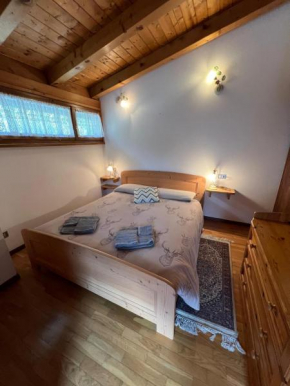 Appartamento Diamante - Ad un passo dalla Ciclabile Auronzo Di Cadore